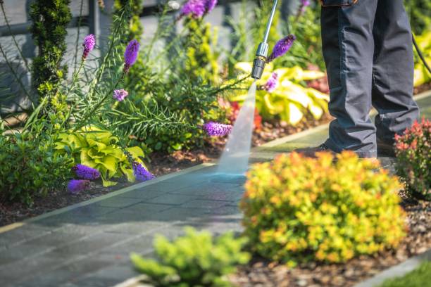 Best Patio and Deck Pressure Washing  in Mountain Lakes, NJ